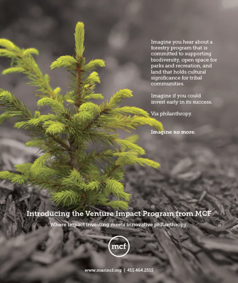 A sapling in sharp color against a monochrome background, with overlay text about a Venture Impact Program.