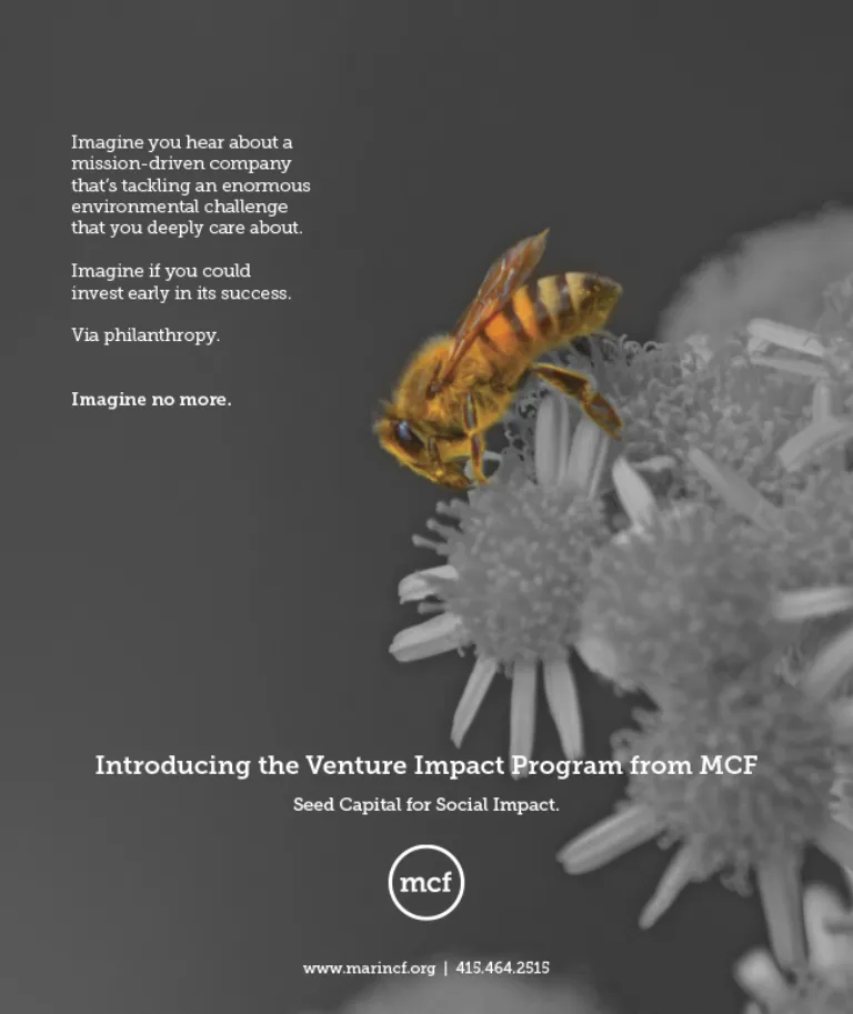 A bee on a grayscale flower with yellow highlights, alongside text for the Venture Impact Program from MCF.