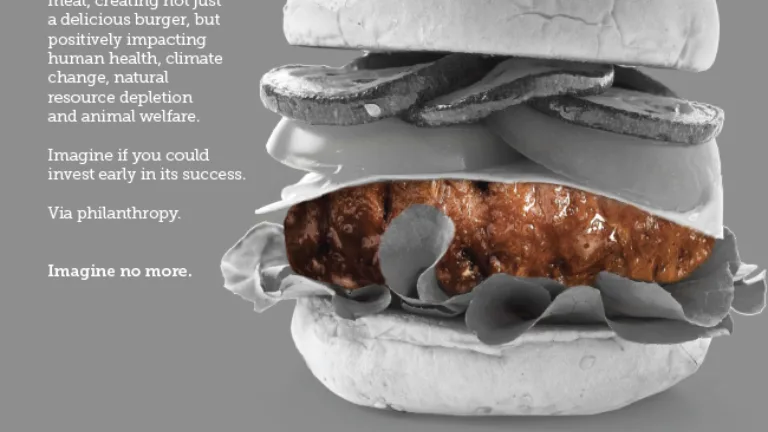Image of a plant-based burger with text introducing the Venture Impact Program from MCF.
