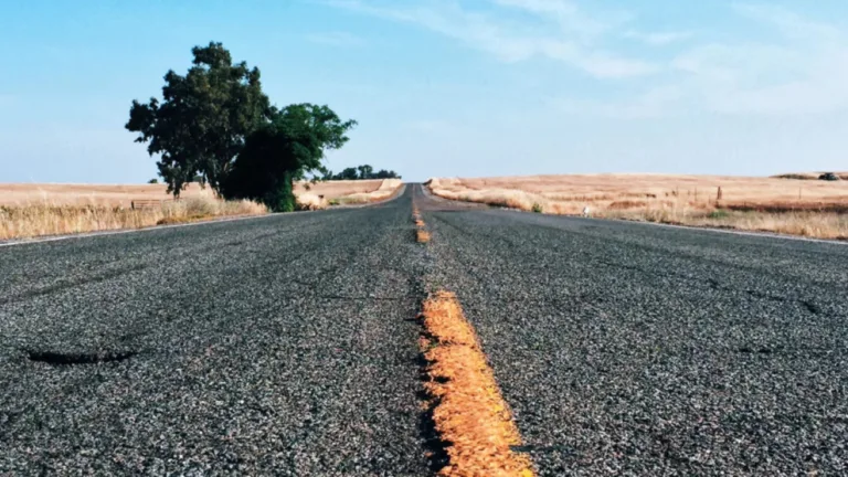 Looking down the middle of an empty asphalt road with a lone tree on a grassy plain