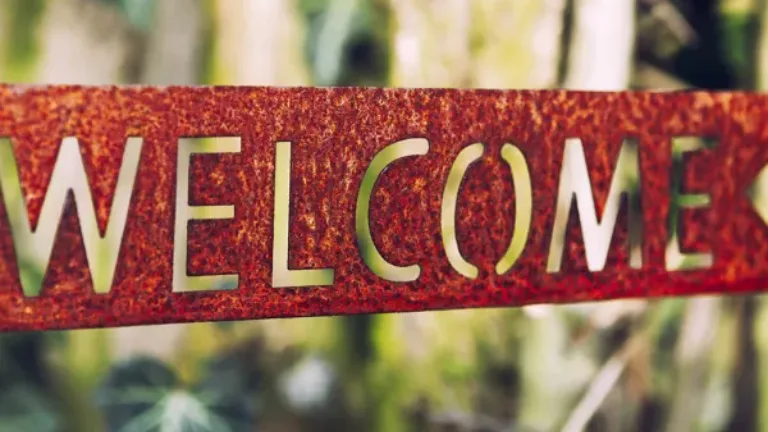A rustic metal sign with the word "WELCOME" cut out is set against a background of lush greenery