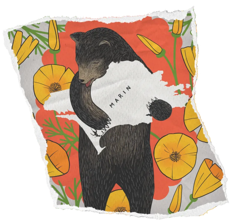 Torn paper image graphic of brown bear holding outline of Marin County with illustrated poppies in the background