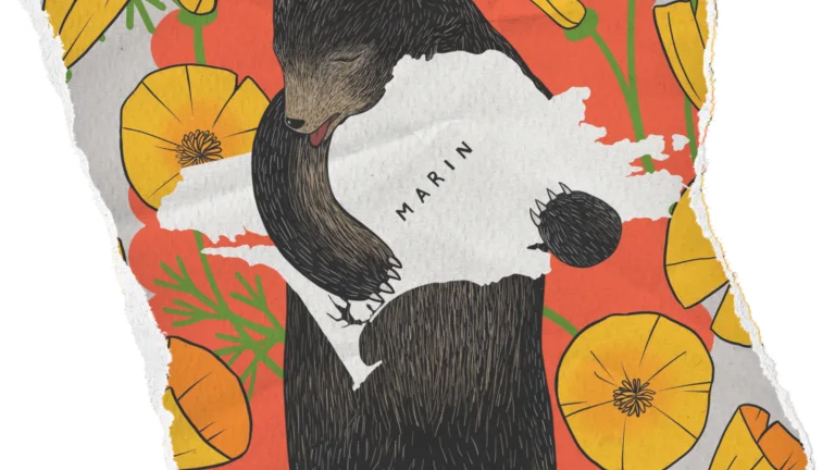 Torn paper image graphic of brown bear holding outline of Marin County with illustrated poppies in the background