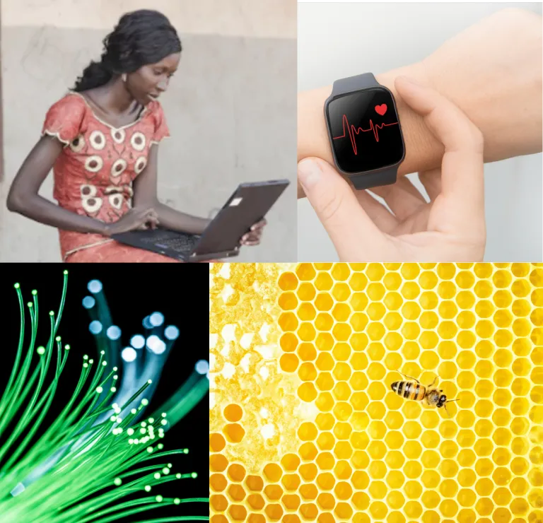 VIP Seed Opportunities Images of an African woman on a laptop, a smartwatch on a wrist, fiber optic cables and honeycomb with a bee