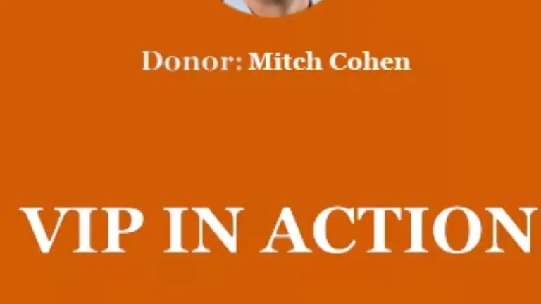 VIP In Action cover