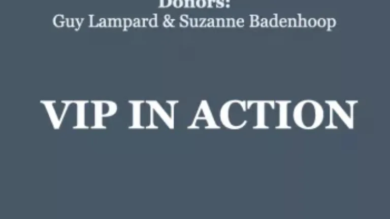10,000 Degrees VIP In Action cover