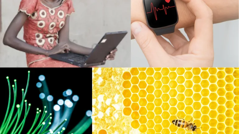 Images of an African woman on a laptop, a smartwatch on a wrist, fiber optic cables and honeycomb with a bee