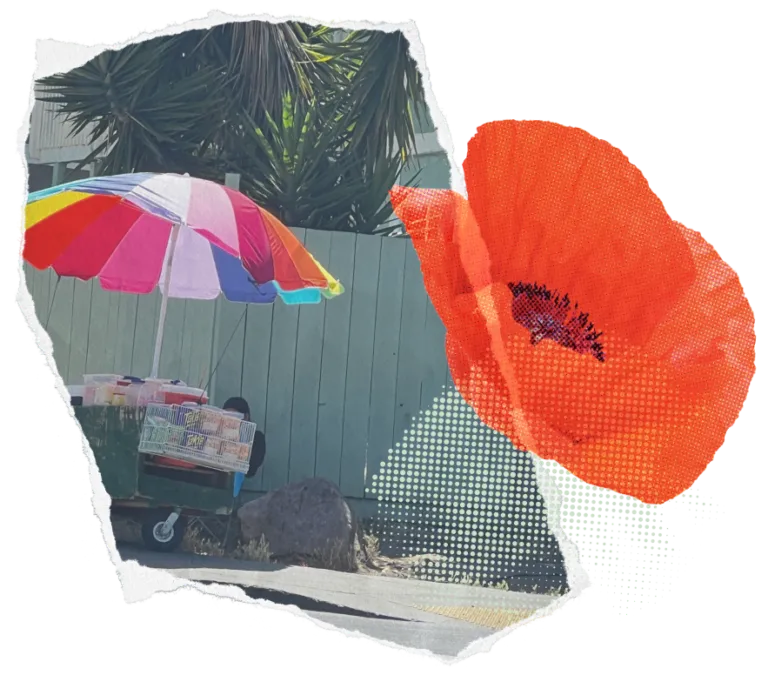 A street food cart under a colorful umbrella by a palm tree, overlapping with a translucent image of a red poppy on the right.