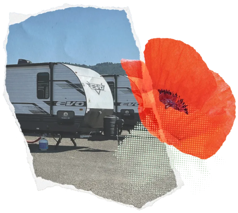 Travel trailer in a parking area with a large illustrated red poppy overlay.