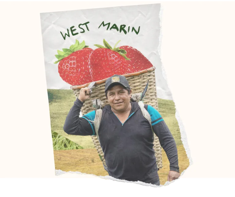 Torn paper collage of a person holding a strawberry basket with "WEST MARIN" text above.