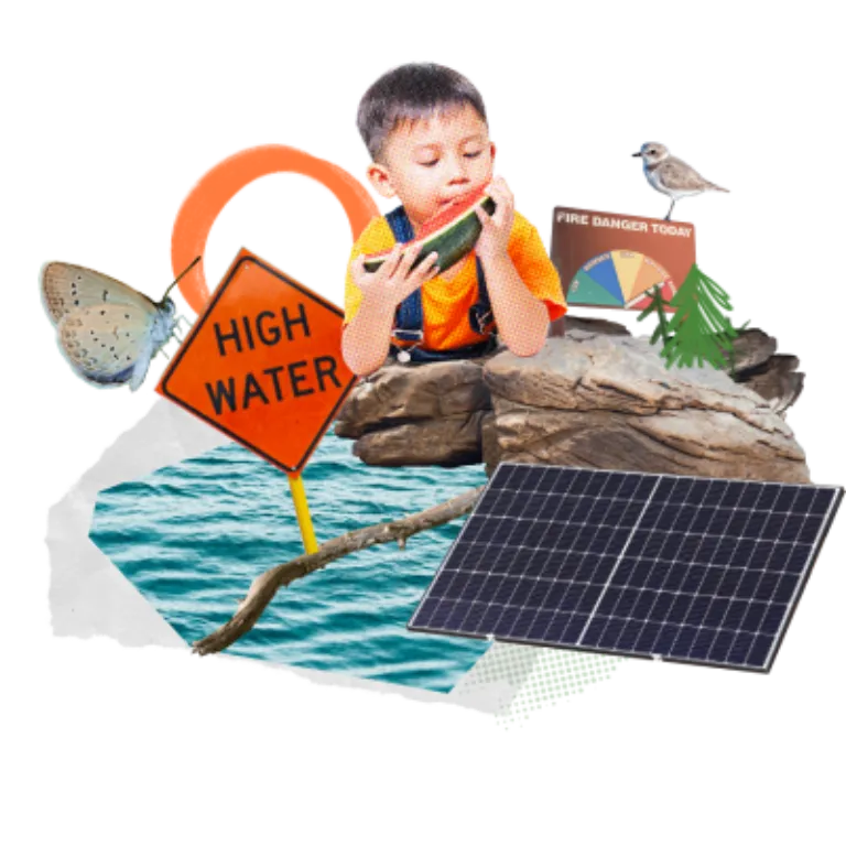 A collage that consists of water and rocks, insects, birds, solar panels, a fire danger warning sign and a young boy in overalls eating a large slice of watermelon