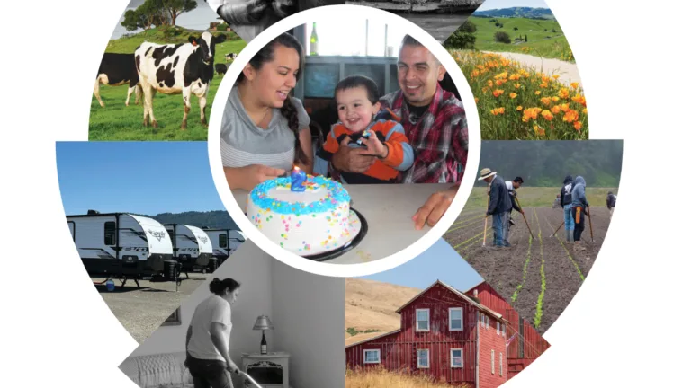 A collage of various images featuring farmland, livestock, and outdoor activities forming a circular design.