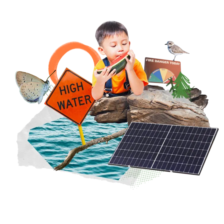 A collage with warning signs, solar panel, rocks, butterflies, and a bird on a white background.