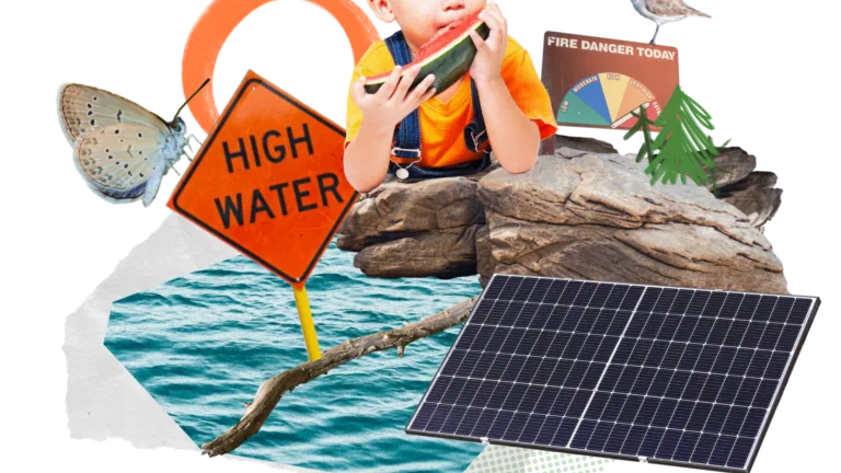 A collage with warning signs, solar panel, rocks, butterflies, and a bird on a white background.