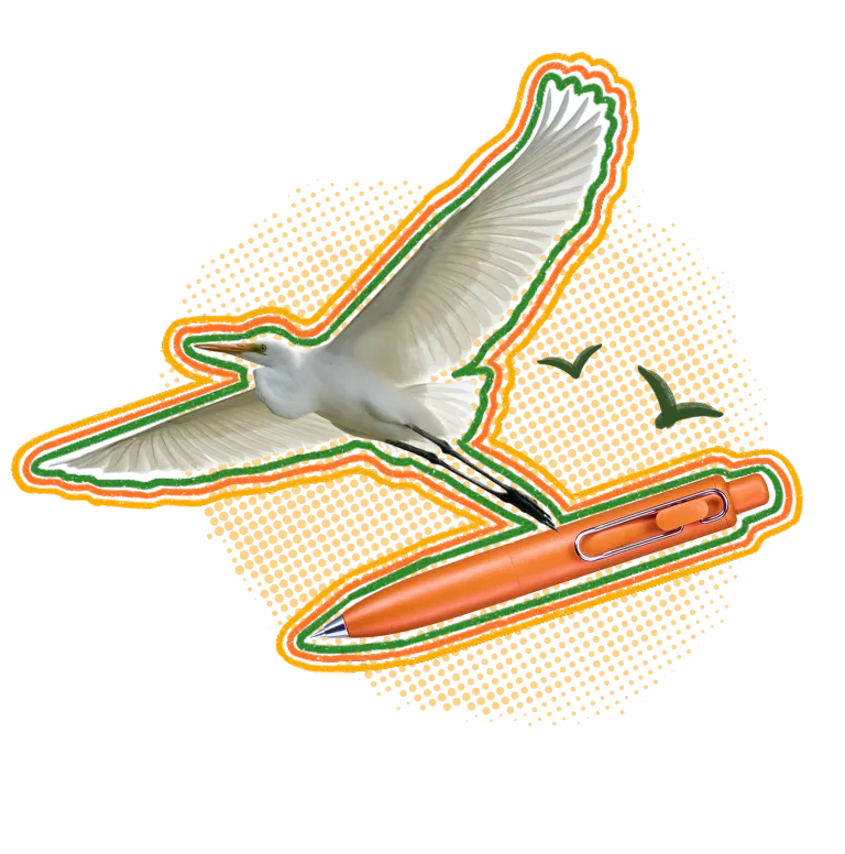 A white egret flies into the sky while holding an orange pen.
