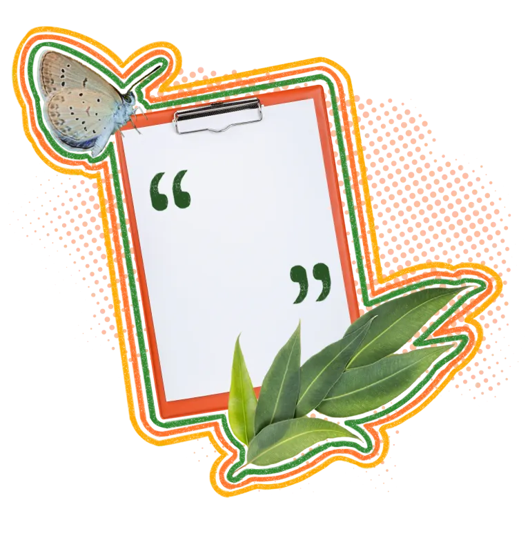 A moth sits perched on the corner of an orange clipboard with two quotation marks. There is a eucalyptus leaf in the bottom corner.