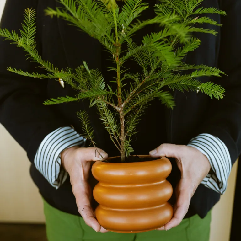 Anne Atkinson holding potted plant