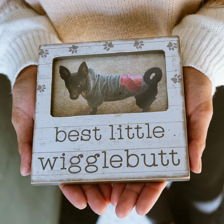 Hands holding a sign saying "best little wigglebutt" with a photo of a dog wearing a sweater.