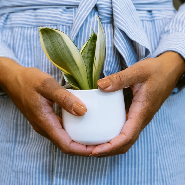 Perry Gold holding a plant