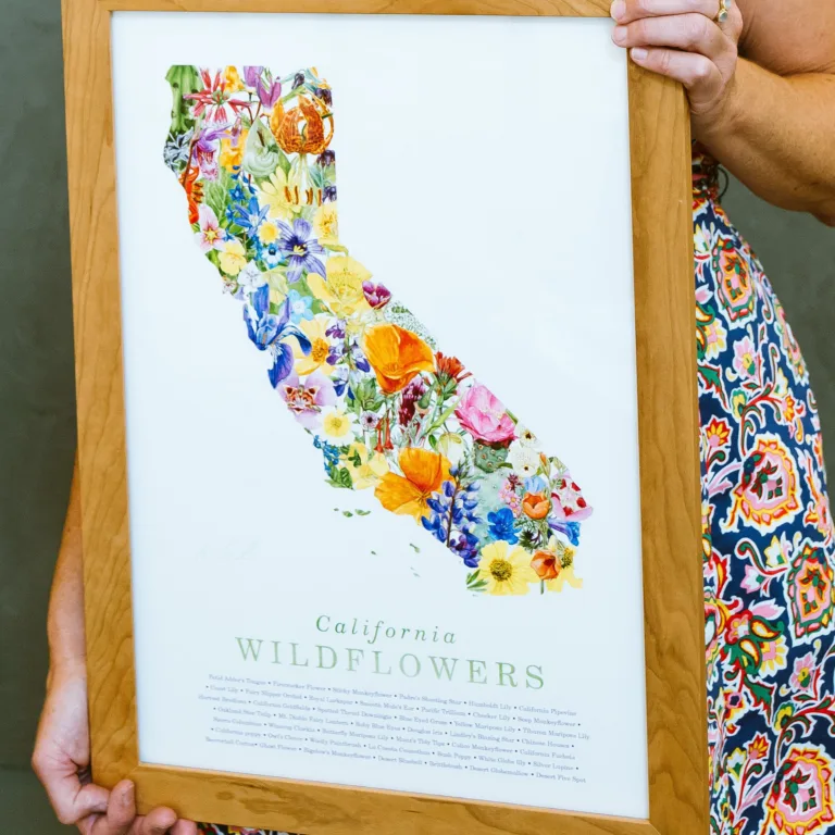 Lara Fox holding picture of California wildflowers