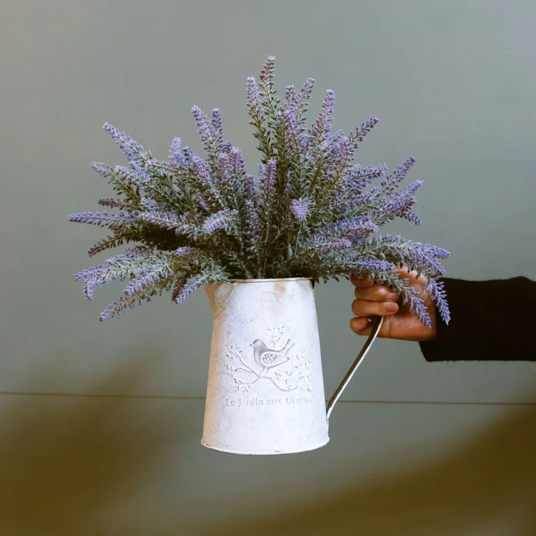 A hand holding a vase with blooming purple lavender flowers against a grey background.