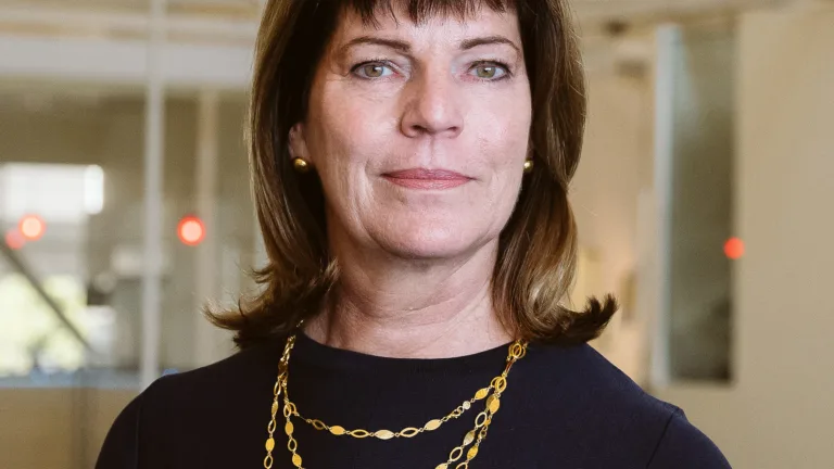 Ann P. Barber headshot in a navy dress with a gold chain necklace, standing indoors.